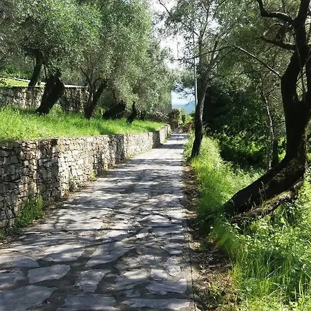 Tra Monte Di Portofino-s.margherita 010054-lt-0406